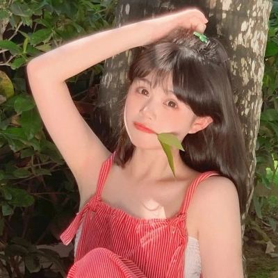 连线指挥官官方正版下载